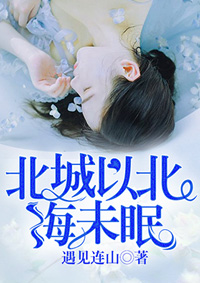 北城以北海未眠苏眠顾北城小说大结局怎么样
