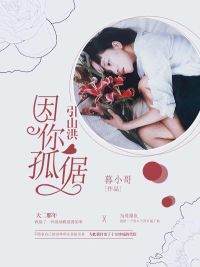 陆心悠伊墨全文免费在线阅读