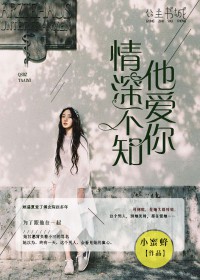 你的笑容如繁花傅念琛小说已完结免费网盘微盘阅读地址